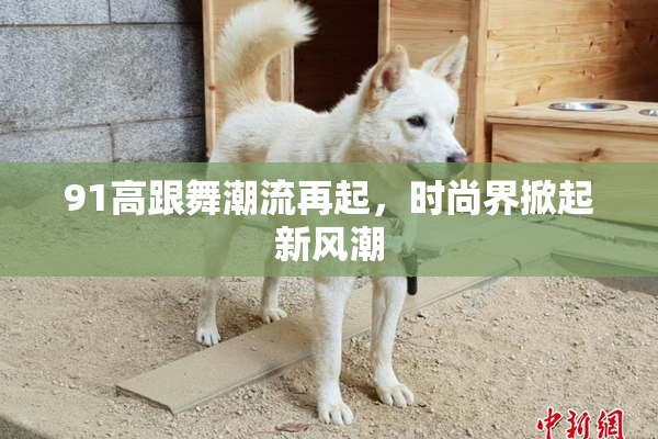 91高跟舞潮流再起，时尚界掀起新风潮