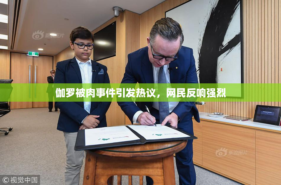 伽罗被肉事件引发热议，网民反响强烈