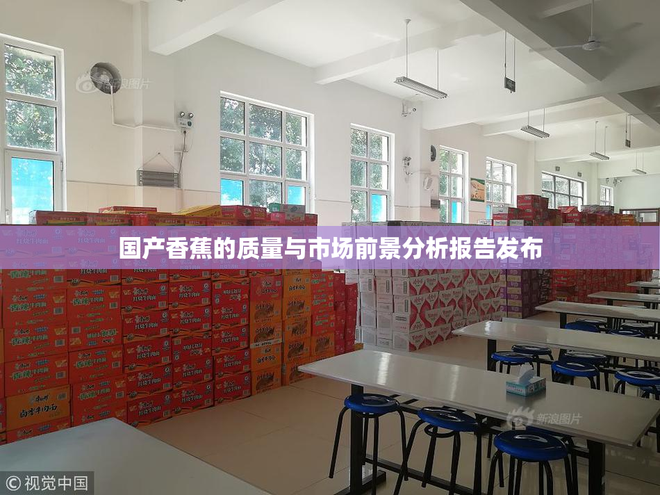 国产香蕉的质量与市场前景分析报告发布