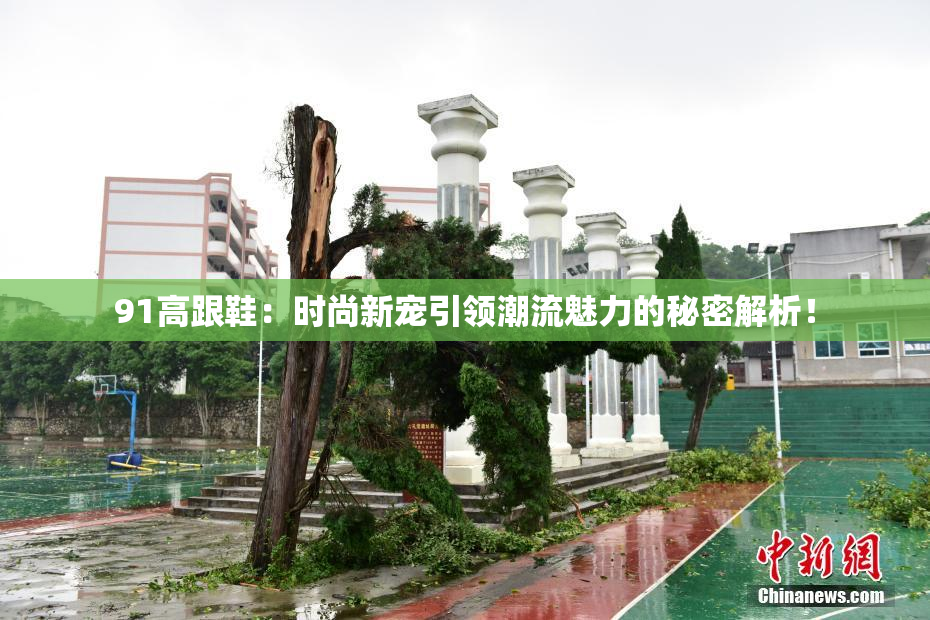 91高跟鞋：时尚新宠引领潮流魅力的秘密解析！