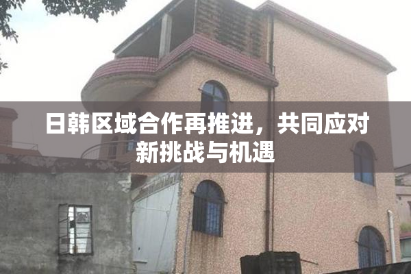 日韩区域合作再推进，共同应对新挑战与机遇