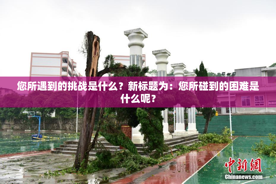 您所遇到的挑战是什么？新标题为：您所碰到的困难是什么呢？