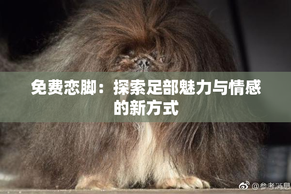 免费恋脚：探索足部魅力与情感的新方式