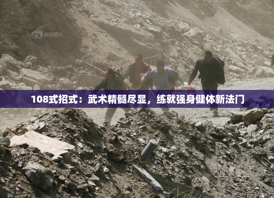 108式招式：武术精髓尽显，练就强身健体新法门