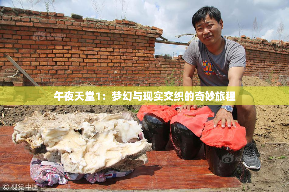 午夜天堂1：梦幻与现实交织的奇妙旅程