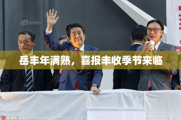岳丰年满熟，喜报丰收季节来临