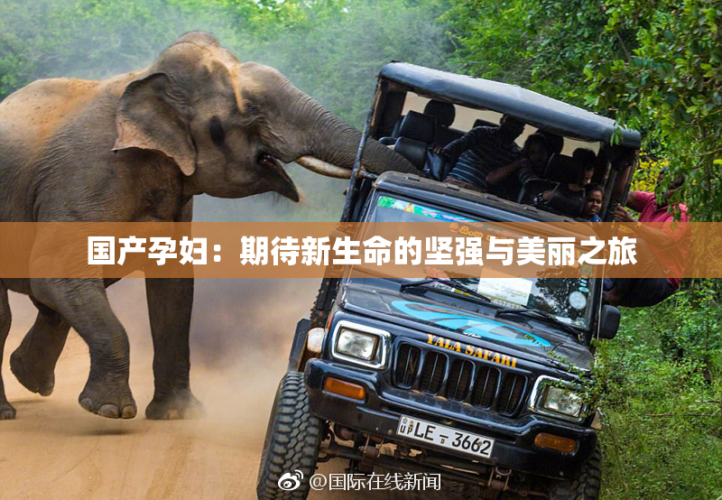 国产孕妇：期待新生命的坚强与美丽之旅