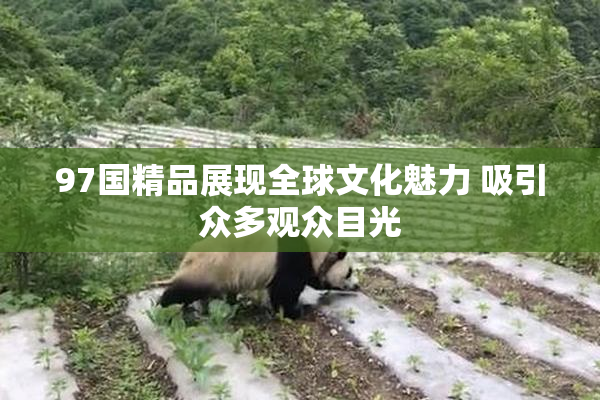 97国精品展现全球文化魅力 吸引众多观众目光