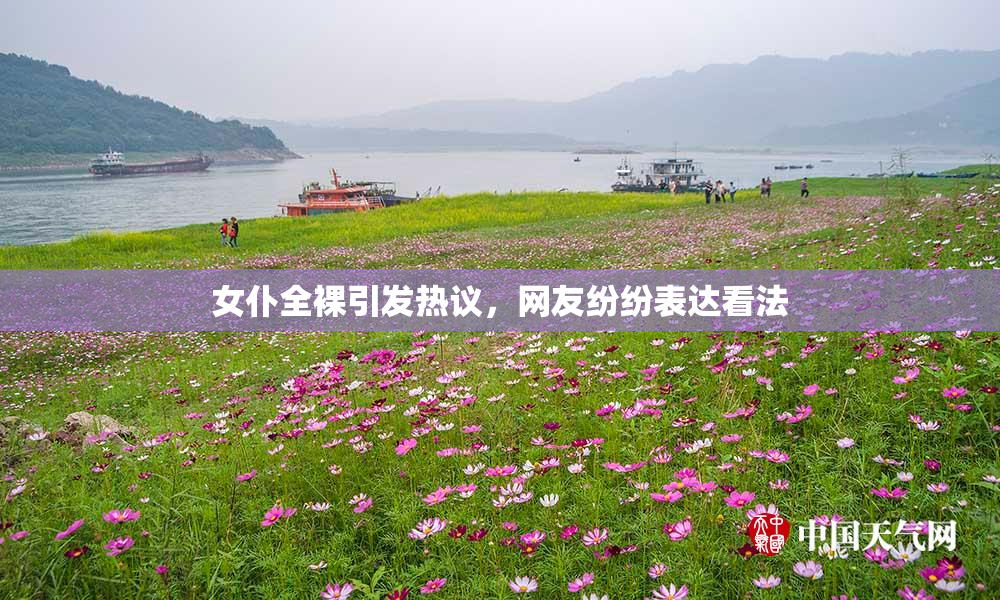 女仆全裸引发热议，网友纷纷表达看法