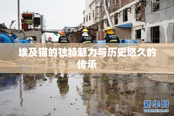 埃及猫的独特魅力与历史悠久的传承