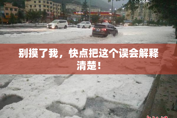 别摸了我，快点把这个误会解释清楚！