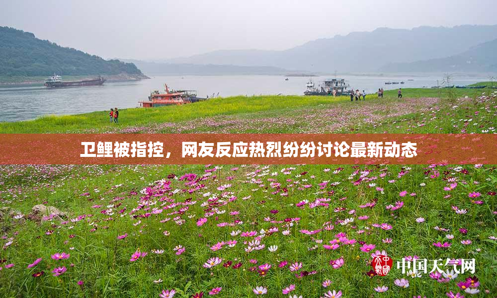 卫鲤被指控，网友反应热烈纷纷讨论最新动态