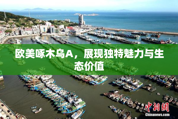 欧美啄木乌A，展现独特魅力与生态价值