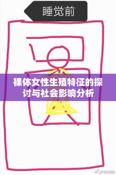裸体女性生殖特征的探讨与社会影响分析