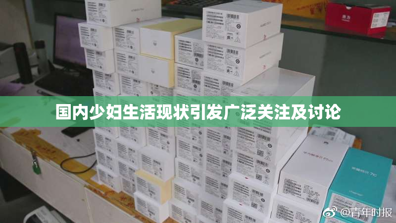 国内少妇生活现状引发广泛关注及讨论
