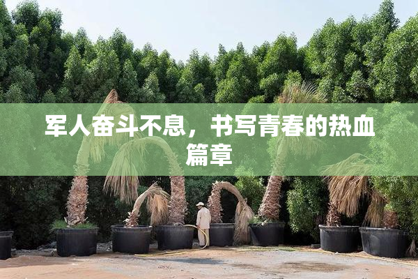 军人奋斗不息，书写青春的热血篇章
