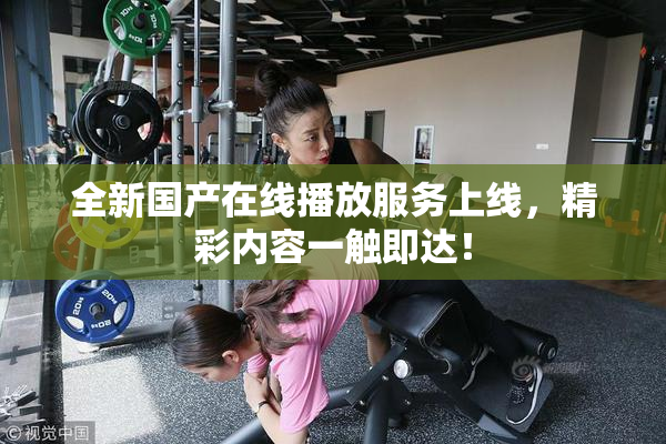 全新国产在线播放服务上线，精彩内容一触即达！