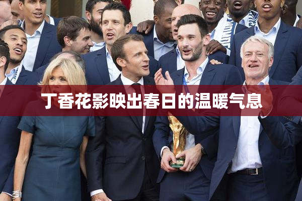 丁香花影映出春日的温暖气息