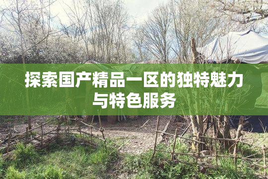探索国产精品一区的独特魅力与特色服务
