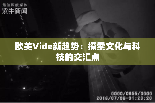 欧美Vide新趋势：探索文化与科技的交汇点