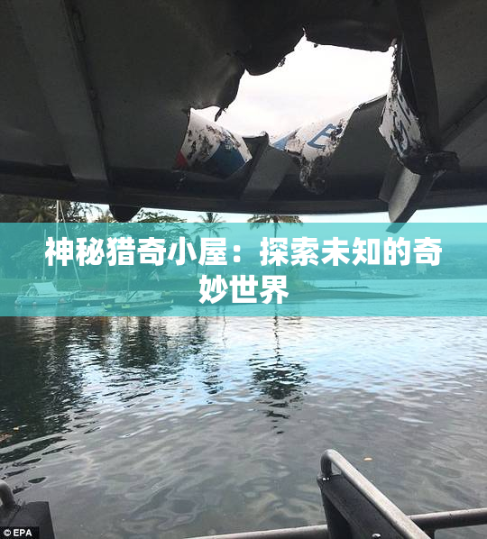 神秘猎奇小屋：探索未知的奇妙世界