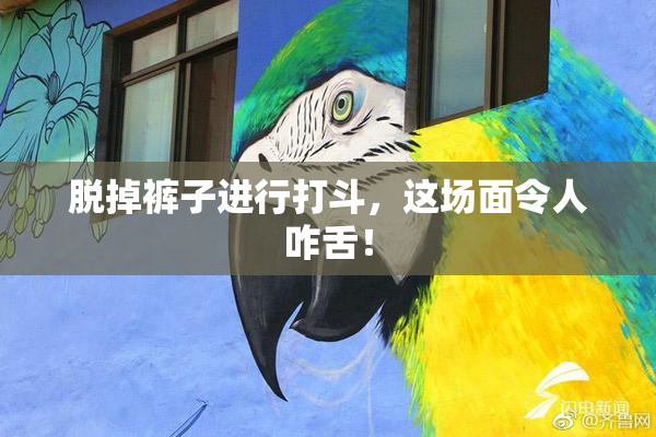 脱掉裤子进行打斗，这场面令人咋舌！
