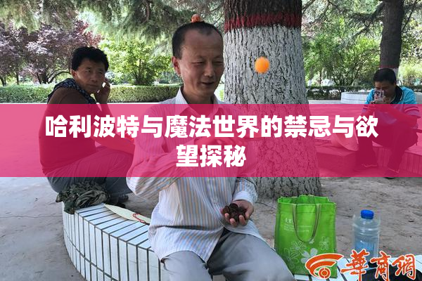 哈利波特与魔法世界的禁忌与欲望探秘