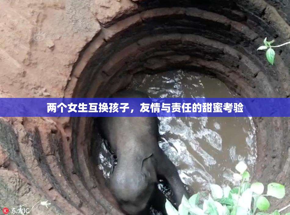两个女生互换孩子，友情与责任的甜蜜考验