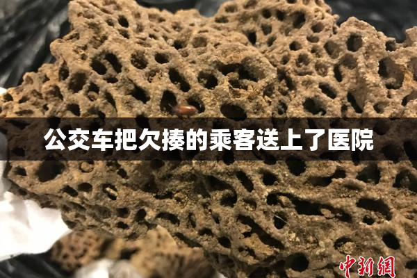 公交车把欠揍的乘客送上了医院