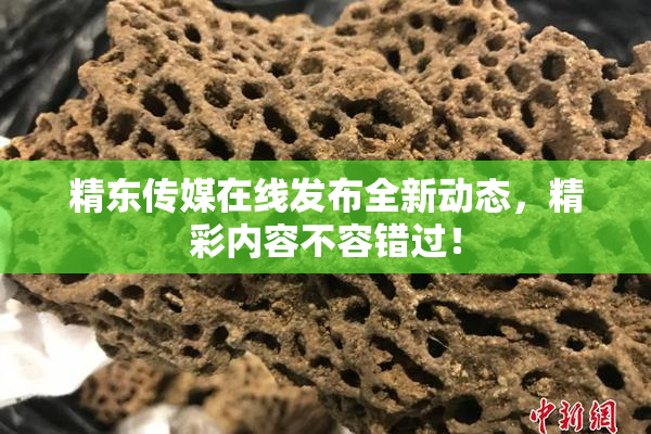 精东传媒在线发布全新动态，精彩内容不容错过！