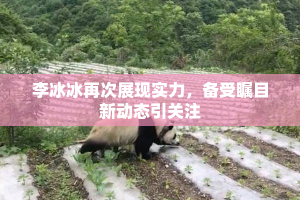 李冰冰再次展现实力，备受瞩目新动态引关注