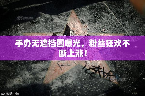 手办无遮挡图曝光，粉丝狂欢不断上涨！