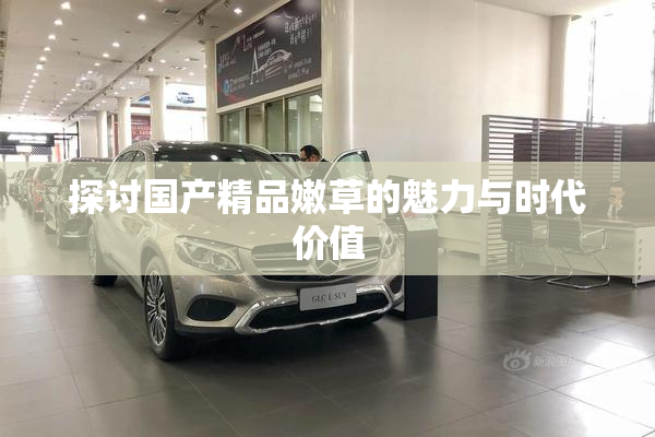 探讨国产精品嫩草的魅力与时代价值