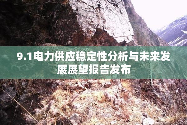 9.1电力供应稳定性分析与未来发展展望报告发布