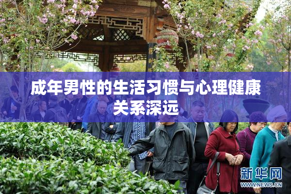 成年男性的生活习惯与心理健康关系深远