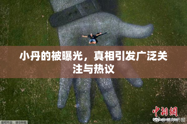 小丹的被曝光，真相引发广泛关注与热议