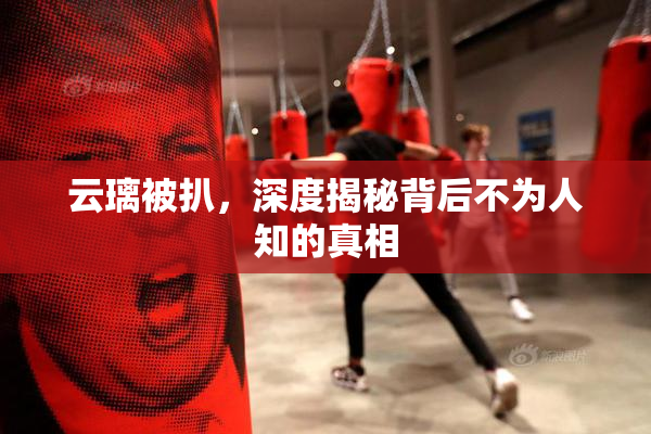 云璃被扒，深度揭秘背后不为人知的真相
