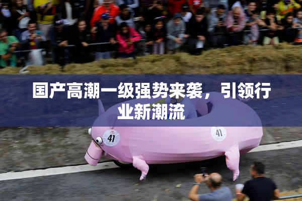 国产高潮一级强势来袭，引领行业新潮流
