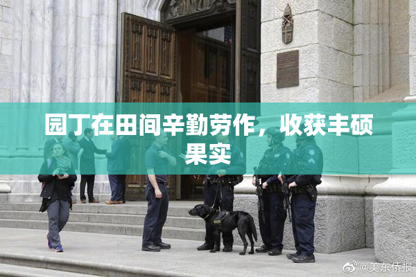 园丁在田间辛勤劳作，收获丰硕果实