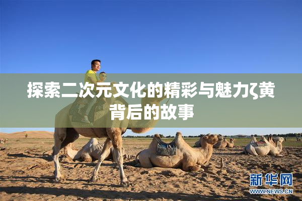 探索二次元文化的精彩与魅力ζ黄背后的故事