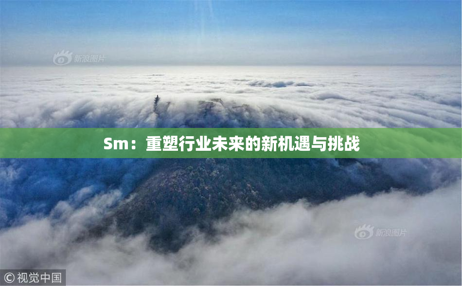 Sm：重塑行业未来的新机遇与挑战