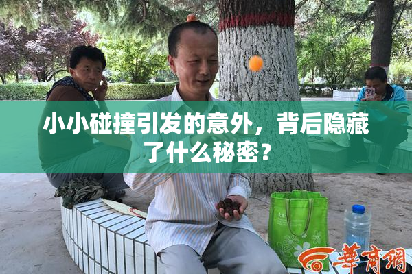 小小碰撞引发的意外，背后隐藏了什么秘密？