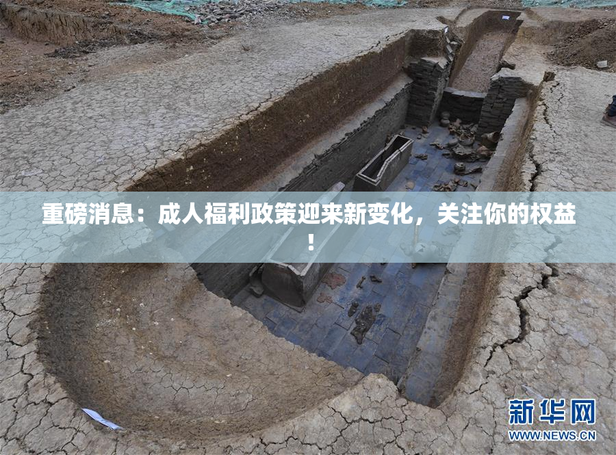 重磅消息：成人福利政策迎来新变化，关注你的权益！