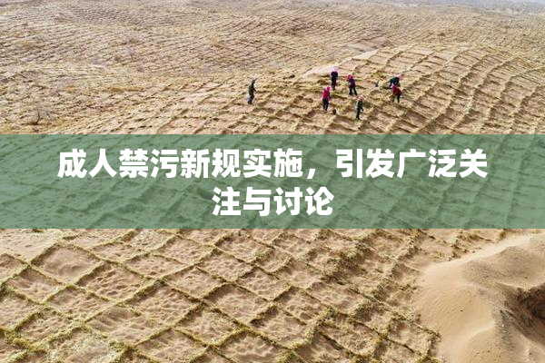 成人禁污新规实施，引发广泛关注与讨论