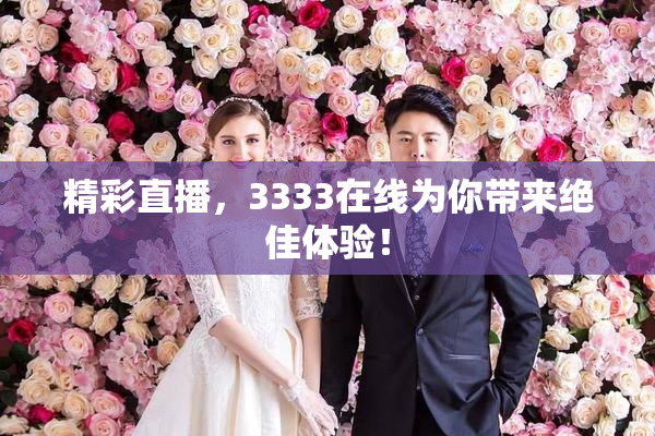 精彩直播，3333在线为你带来绝佳体验！