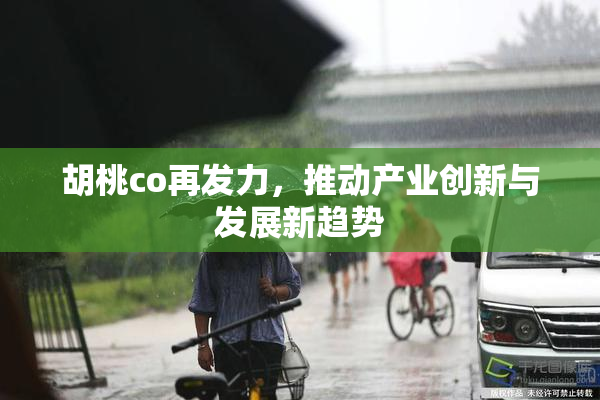 胡桃co再发力，推动产业创新与发展新趋势