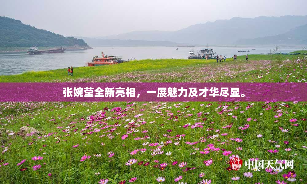 张婉莹全新亮相，一展魅力及才华尽显。