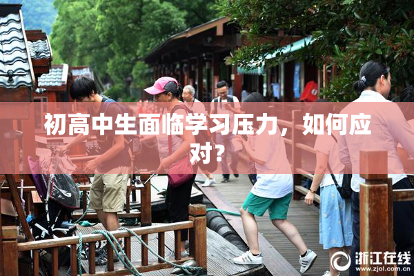 初高中生面临学习压力，如何应对？