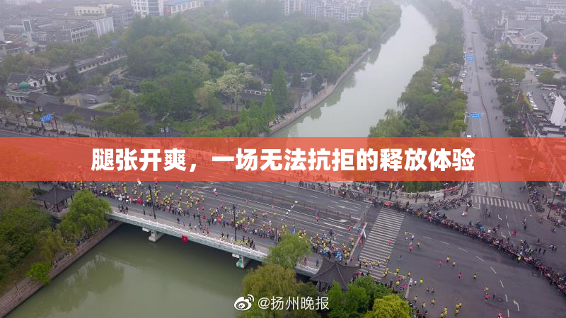腿张开爽，一场无法抗拒的释放体验