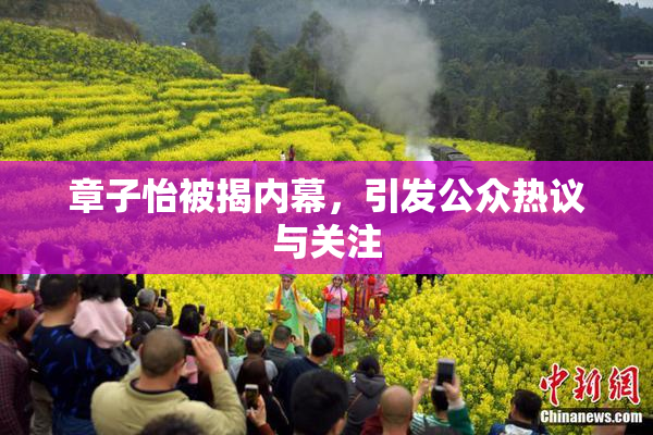 章子怡被揭内幕，引发公众热议与关注